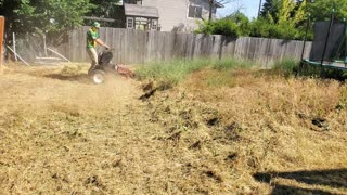 Disabled Woman INSULTED By Neighbor For Her OVERGROWN Yard