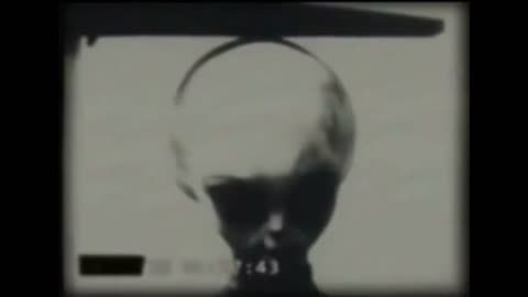 Skinny Bob - KGB Leaks Grey Alien Footage