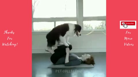 Cute and funny pets video 😁