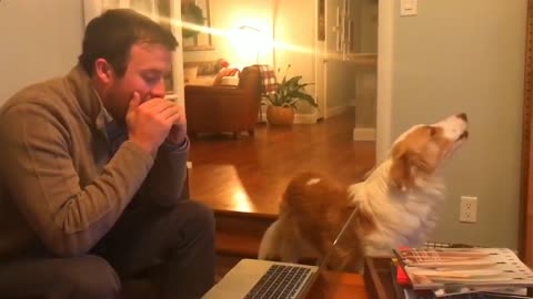Man playing the harmonica and the dog howling