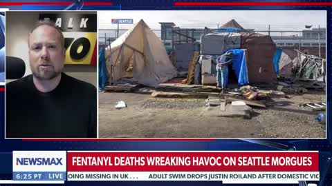 TPM's Ari Hoffman tells NEWSMAX's Jenn Pellegrino about the severity of the fentanyl crisis