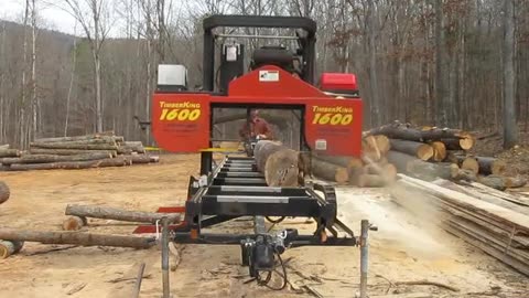 Sawing Poplar log on Timberking 1600 bandsaw mill