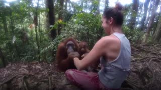 Ape grabs young women