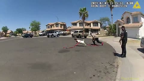 Glendale officers led on wild goat pursuit in neighborhood