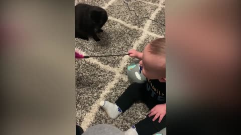 Cutest babies play witj cats and dogs