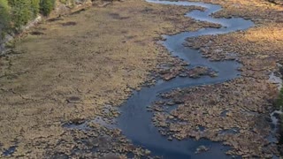 Ontario Wilderness Drone Flight Over Crown Land