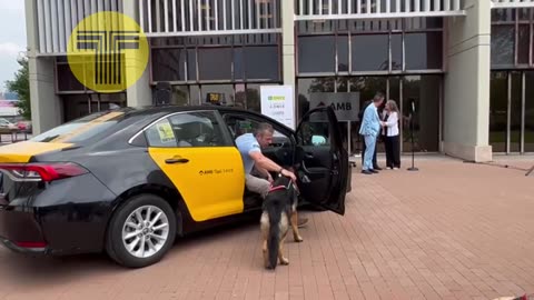 Taxi Barcelona exhibición de Perros Guía en el IMET