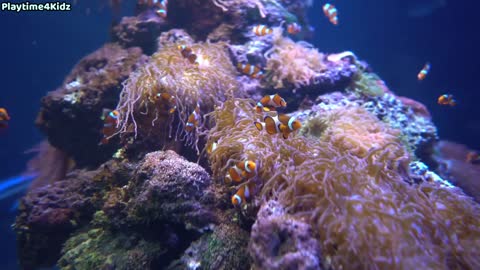 Animals Under The Sea Toys Playing In Blue Water Aquarium