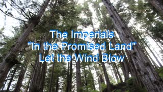 The Imperials - In the Promised Land #41