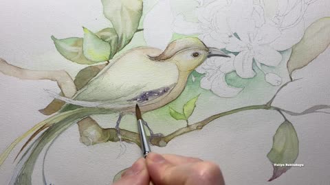How to Paint Birds and Flowers.Watercolor Demo.