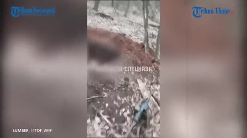 Ukrainian Military Fortress in the Forest Taken, Troops Choose to Surrender!