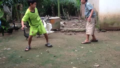 Two babies play with male geese