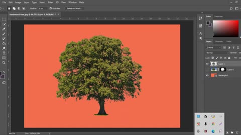 Tree background Remove