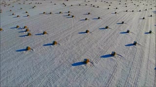 Speckles in the Snow - Snow Scene, Nebraska 12/31/2020