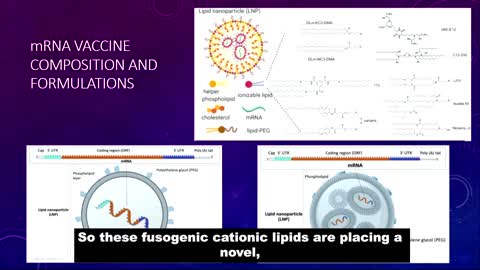 ICS 2022 (France) - R. MALONE "mRNA vaccine technology : fundamentals of mechanisms and risks"