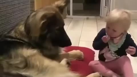 Girl gives love to her dog