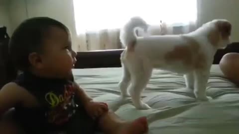 Puppy save baby