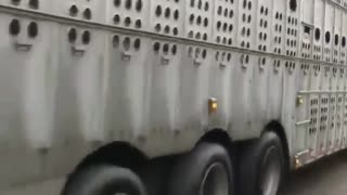 Truck Plows Through Protesters!