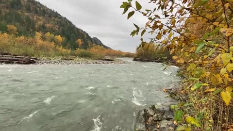 Nov 8/21 sound of relaxing river for meditation and relaxing bc Canada Chilliwack river