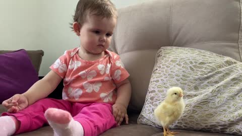 Funny_meeting_of_a_cute_baby_and_a_little_chicken