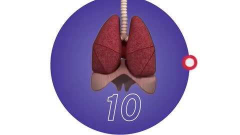 How Strong Is Your Lungs? HERE IS A TEST TO GIVE YOU THE ANSWERS