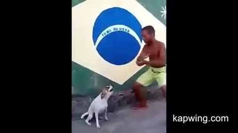 Talented dog sings and dance
