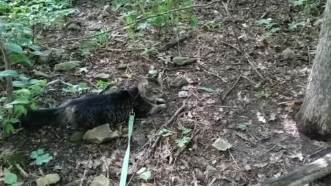Cat and I on nature hike
