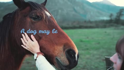 Inspirational Horse Quote For All Horse Lovers