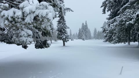 British Columbia snow