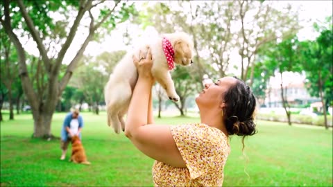 Adorable Puppies In Nature