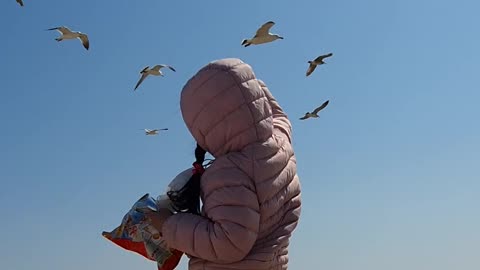 My daughter throwing snacks at the seagulls is so pretty