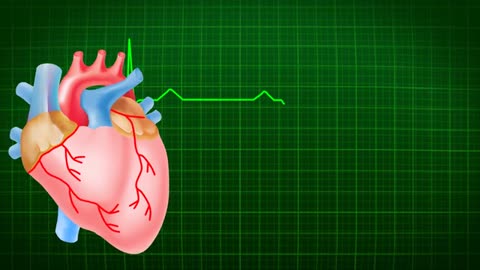 Electrocardiogram The heart beats