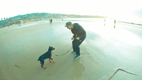 Max has his first beach day at Ja Jolla Shores