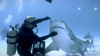 swimming with sharks 😱🦈