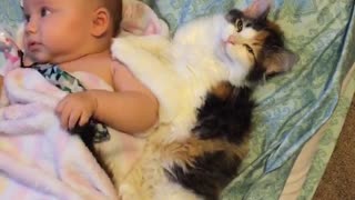 Cute kitten preciously cuddles with sweet baby