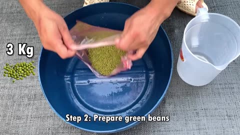 Grow Bean Sprouts Using This Method, You can harvest all year round - Bean Sprouts growing at home