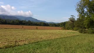 CADES COVE 2