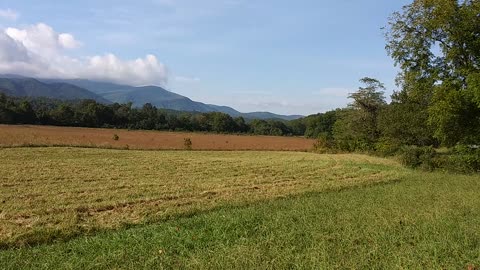 CADES COVE 2