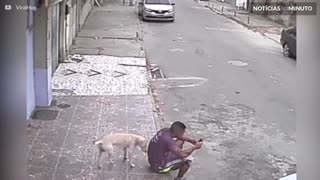 Cão confunde homem com poste e faz xixi nele