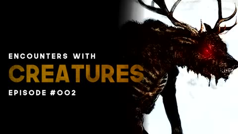 11 ENCOUNTERS WITH CREATURES (Skinwalkers, Bigfoot, Crawlers, Unknown) - EPISODE #002