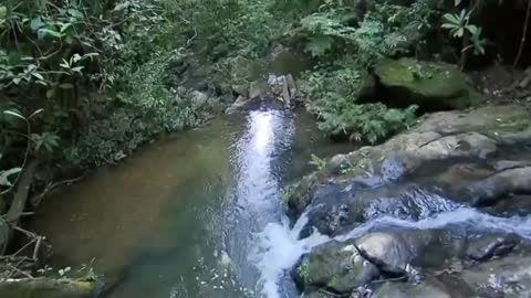 nature streams-- NATIFLIX