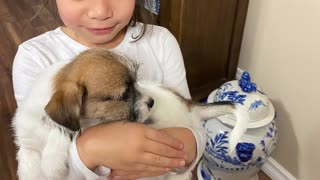 Puppy surprise