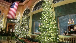 Bellagio Las Vegas Christmas Conservatory