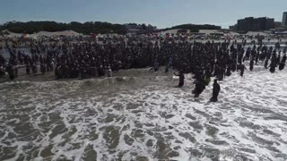 Turtle That Pooed Plastic Is Released Back Into Sea