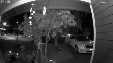 OREGON KIDNAPPING WOMAN ABDUCTED ON DOORBELL CAM