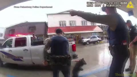 Lone bear cub leads officers on chase through Petersburg grocery store