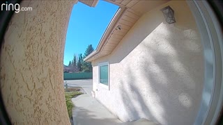 Thieves Caught and Confronted by Doorbell Camera