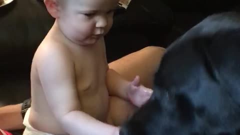 Baby sharing his treats with his puppers