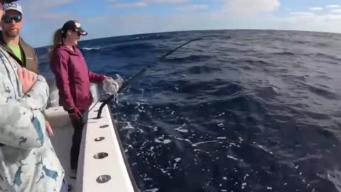 Catch more than 300 catties of large swordfish