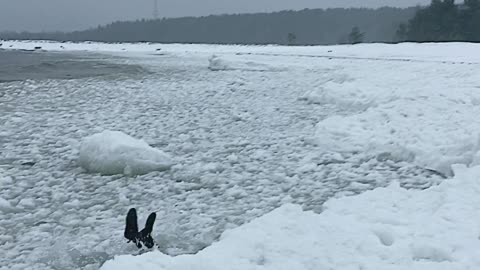 Dive into Icy Water Has Unexpected Result